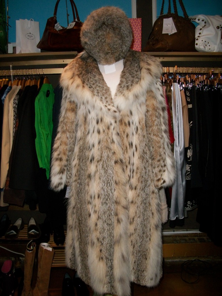 lynx2