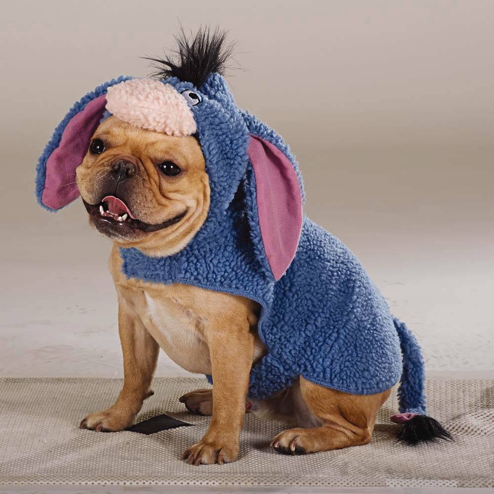 Winnie The Pooh Costumes For Dogs
 NWT TOP PAW DISNEY EEYORE DOG PET COSTUME FROM WINNIE THE POOH