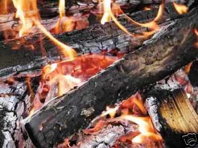 Outdoor Survival on Wilderness Survival Guide Books Cd Food Kit Tools Knife Ebay