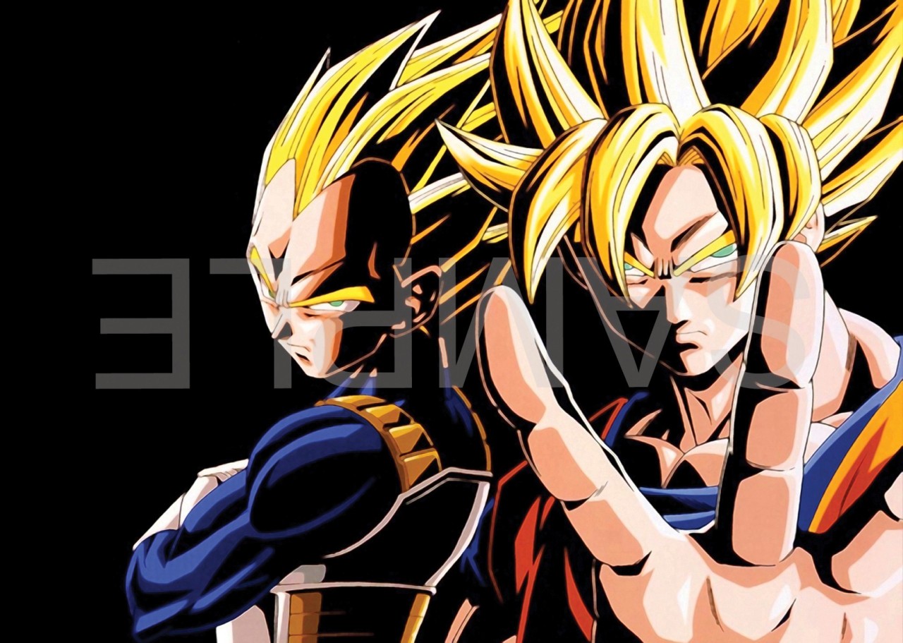 DRAGONBALL Z POSTER ART PRINT PICTURE A3 11.7 × 16.5 INCH AMK1732