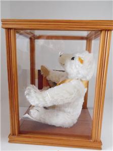 large teddy bear display case