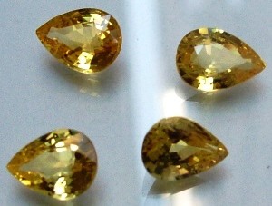 eBay Image Hosting at www.auctiva.com