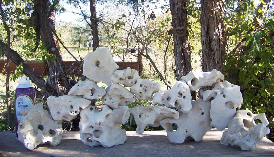 Fourteen Beautiful Texas Holey Limestone Aquarium Fish Cichlid Reptile