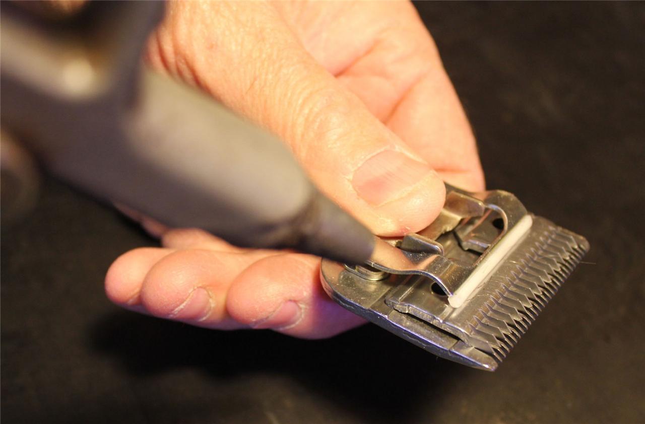 Clipper Blade Sharpening Wahl Andis Oster Scissors Hair Dog Horse