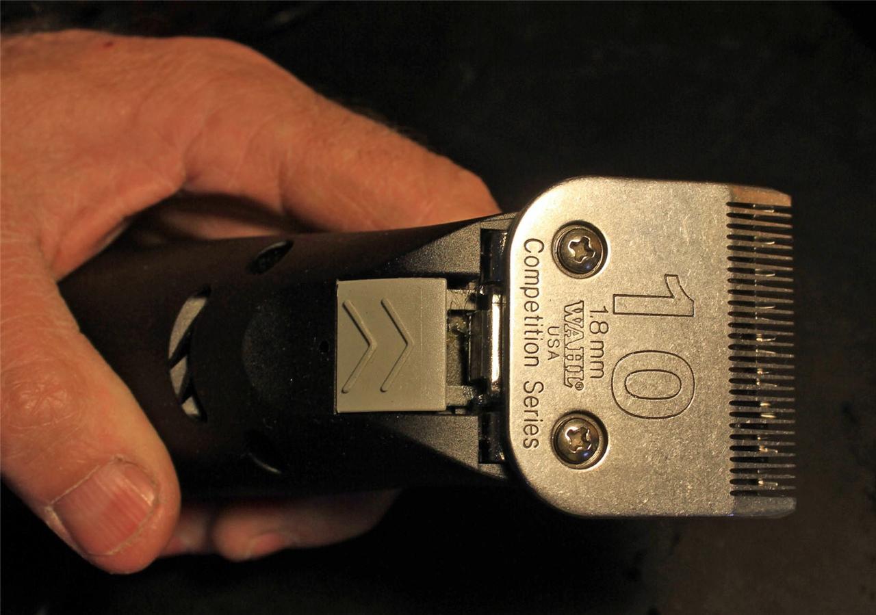 Clipper Blade Sharpening Wahl Andis Oster Scissors Hair DOG Horse