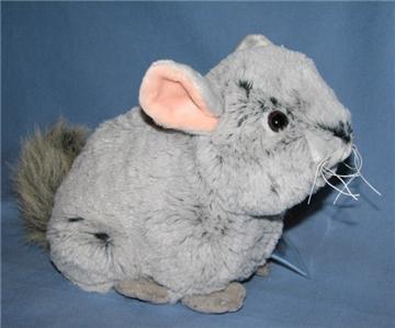 Webkinz Chinchilla