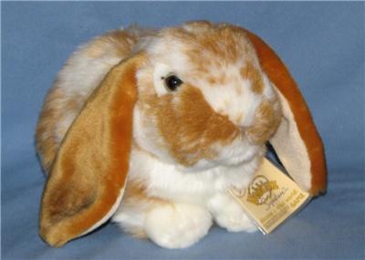 holland lop bunny webkinz