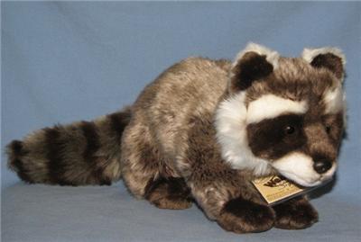 webkinz raccoon
