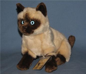 siamese webkinz