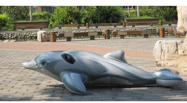 inflatable pool dolphin