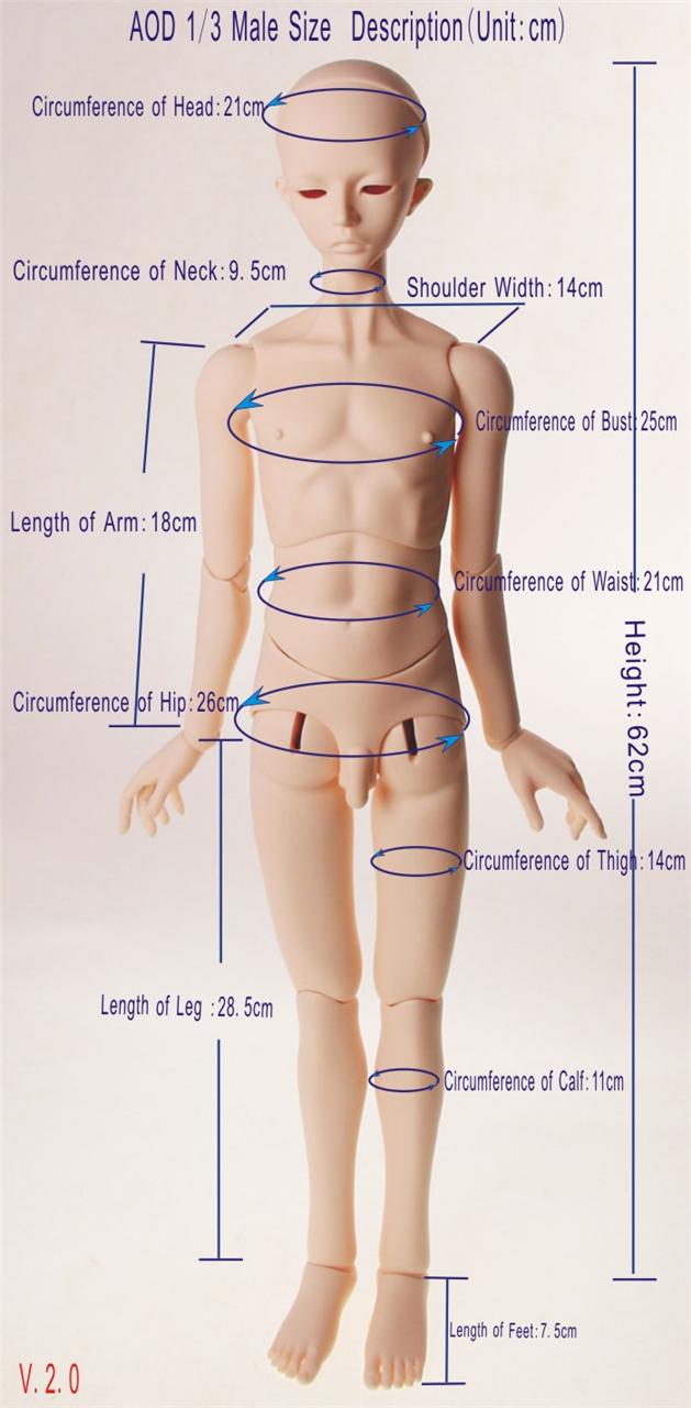 378614301_o.jpg?nc=535