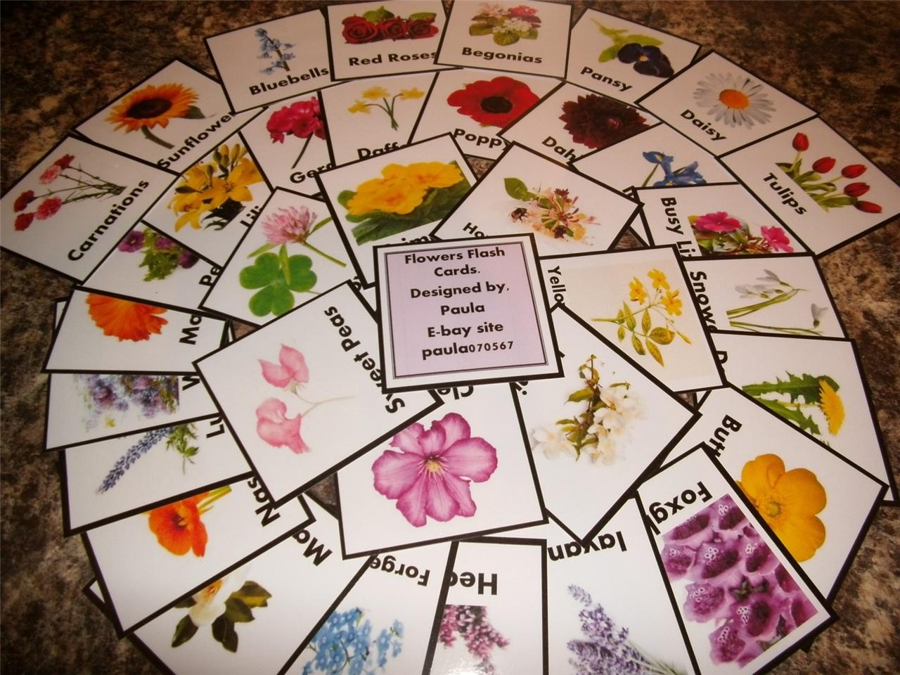 Special Needs 'Verb picture words ' Fun  Flash Cards x 52 all 9 x 13cm EYFS 