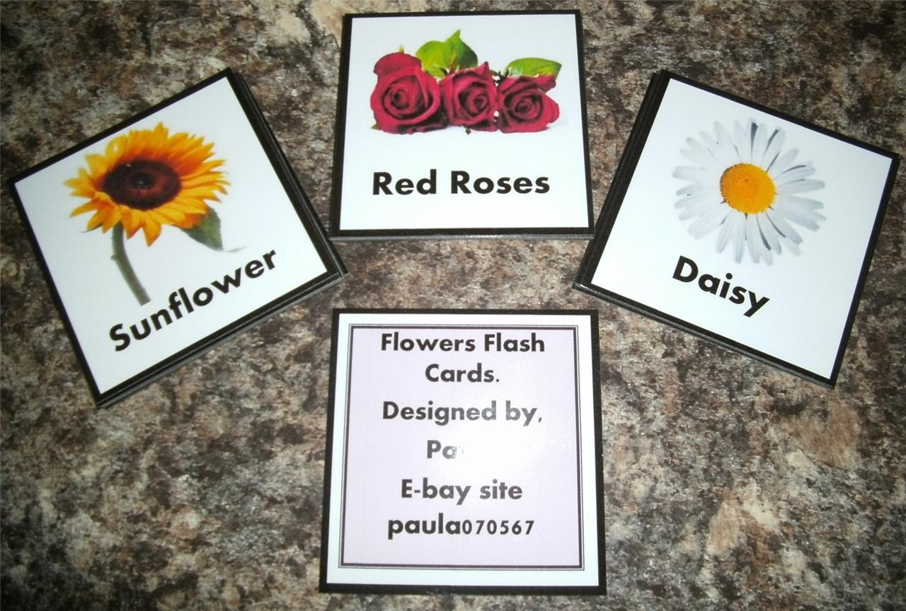 EYFS / Special Needs 'Flowers' flash cards. Ideal teaching aid for