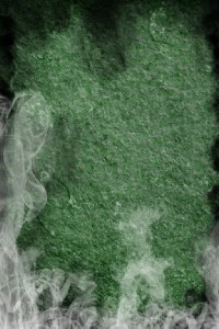 SMOKE, GREEN,  PHOTO BACKDROP, 60"X80", NEW