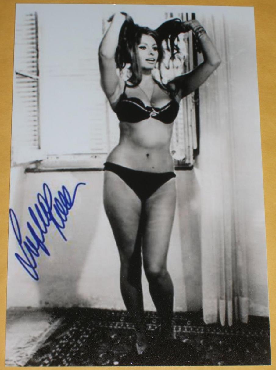 Sophia Loren Classic Photo My Xxx Hot Girl