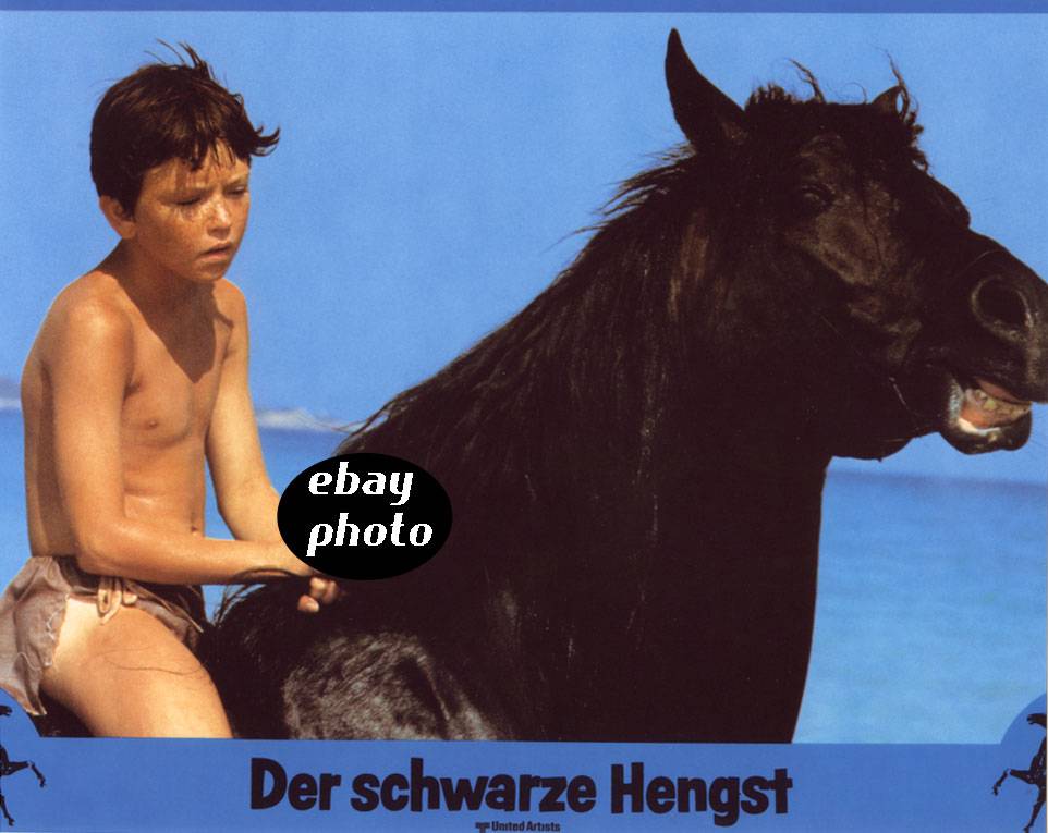 KELLY RENO 8x10 glossy photo Boy in The Black Stallion c637 eBay