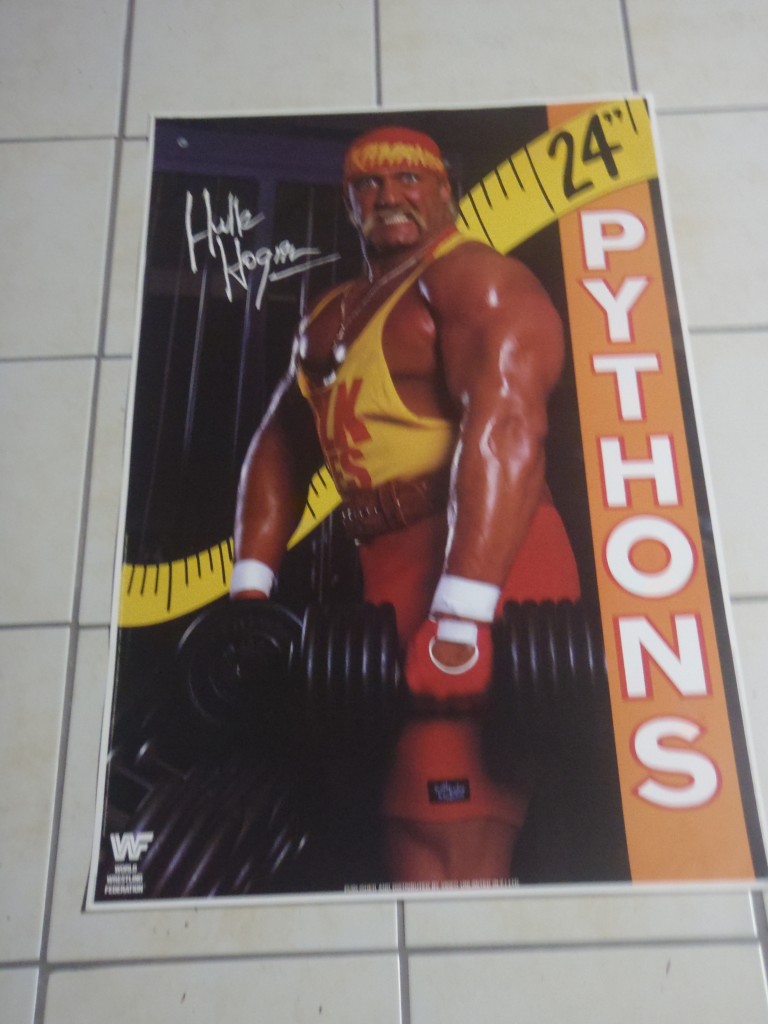 RETRO 1980S POSTER.LARGE SIZE.WWF.HULK HOGAN.24 INCH PYTHONS.RARE