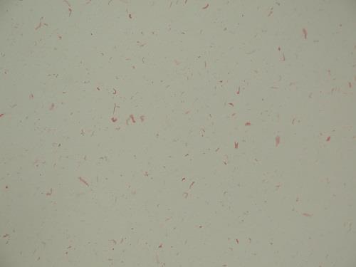 Coloured Particle Flecked Paper 100gsm 2-Sided A4 x 25 - 3 Colours to Choose - Picture 2 of 4