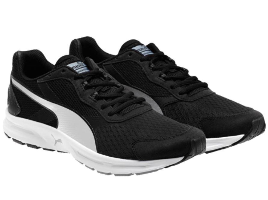 puma descendant puma descendant