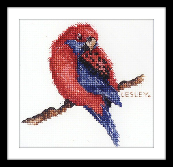Counted Cross Stitch Kits DMC AUSTRALIAN COLLECTION KITS eBay