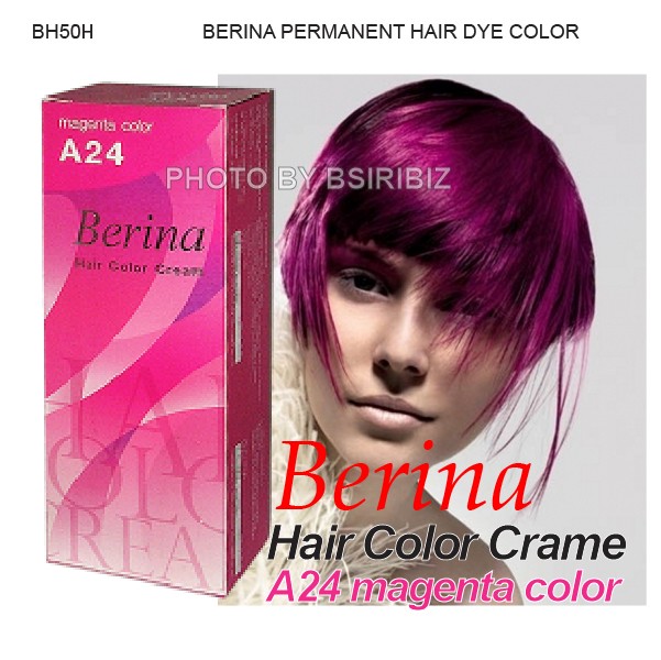 Berina Permanent Hair Dye Color Cream Punky Punk Goth Emo ...