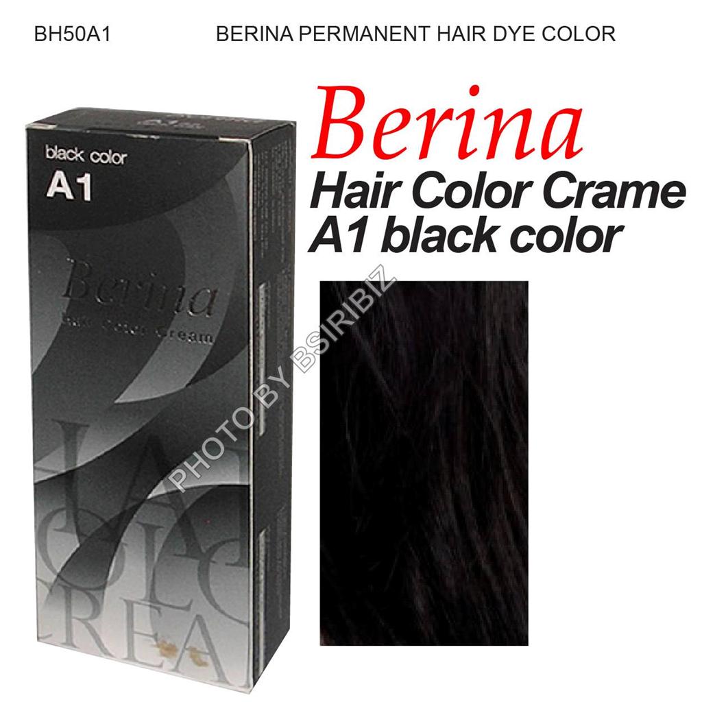 BERINA Permanent Hair dye Cream Color Punky FASHION ...