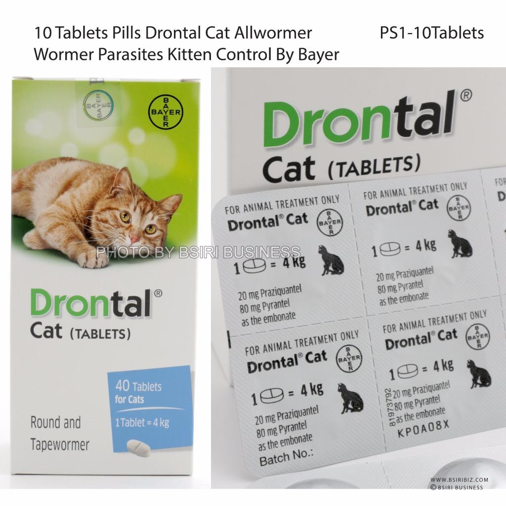 Bayer tapeworm dewormer for kittens