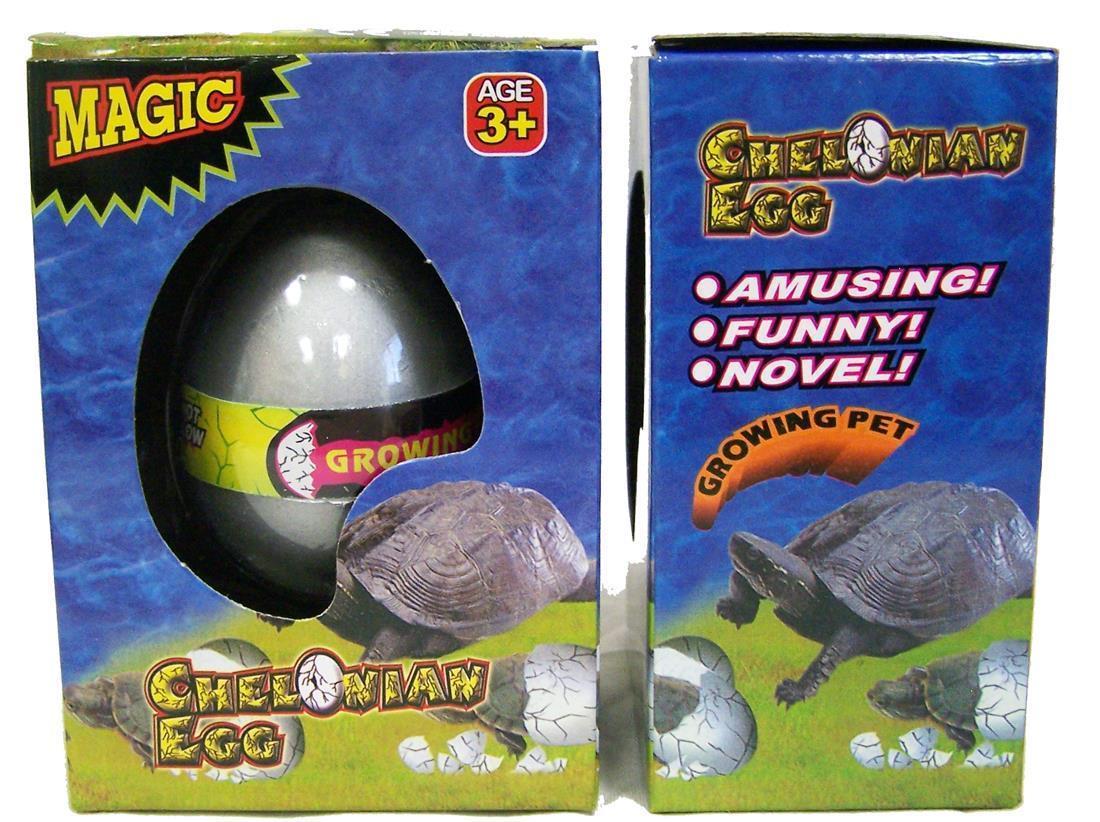 Hatching Animals Egg growing pet hatch'em egg magic Hatching eggs eBay