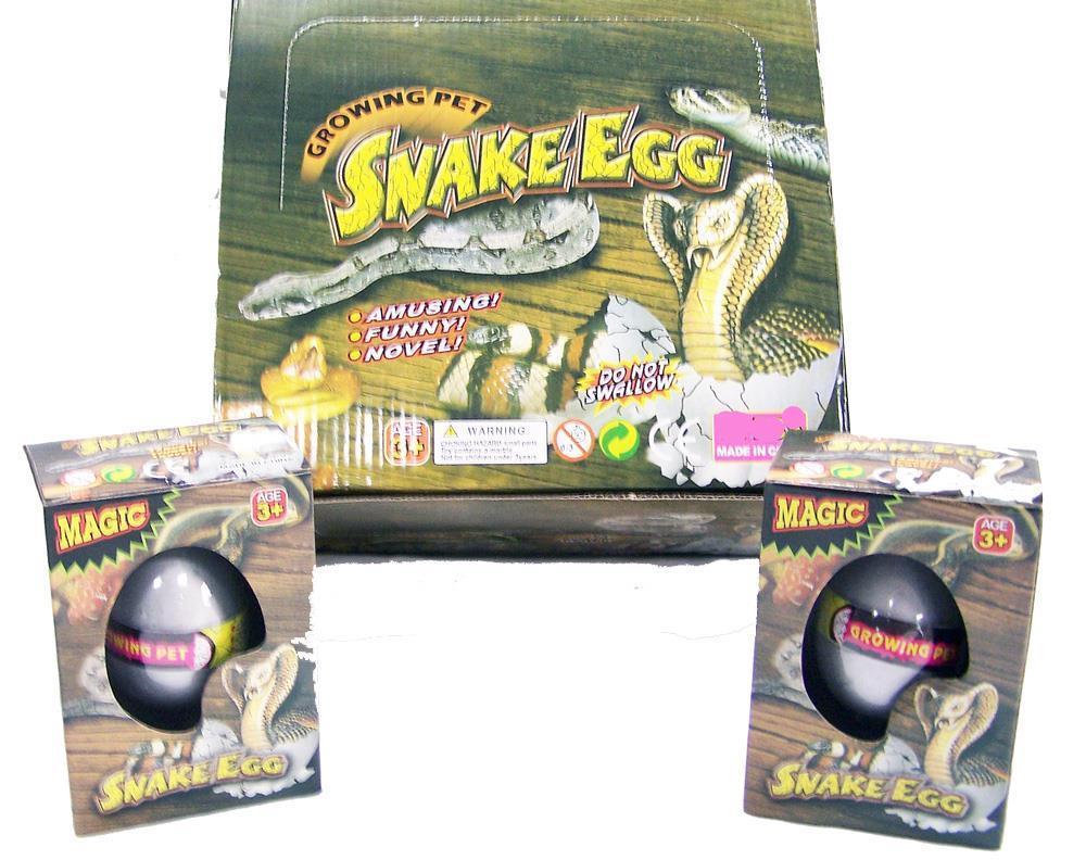 Hatching Animals Egg growing pet hatch'em egg magic Hatching egg
