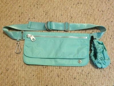 Lululemon Athletica Dog Fanny Pack International Society of