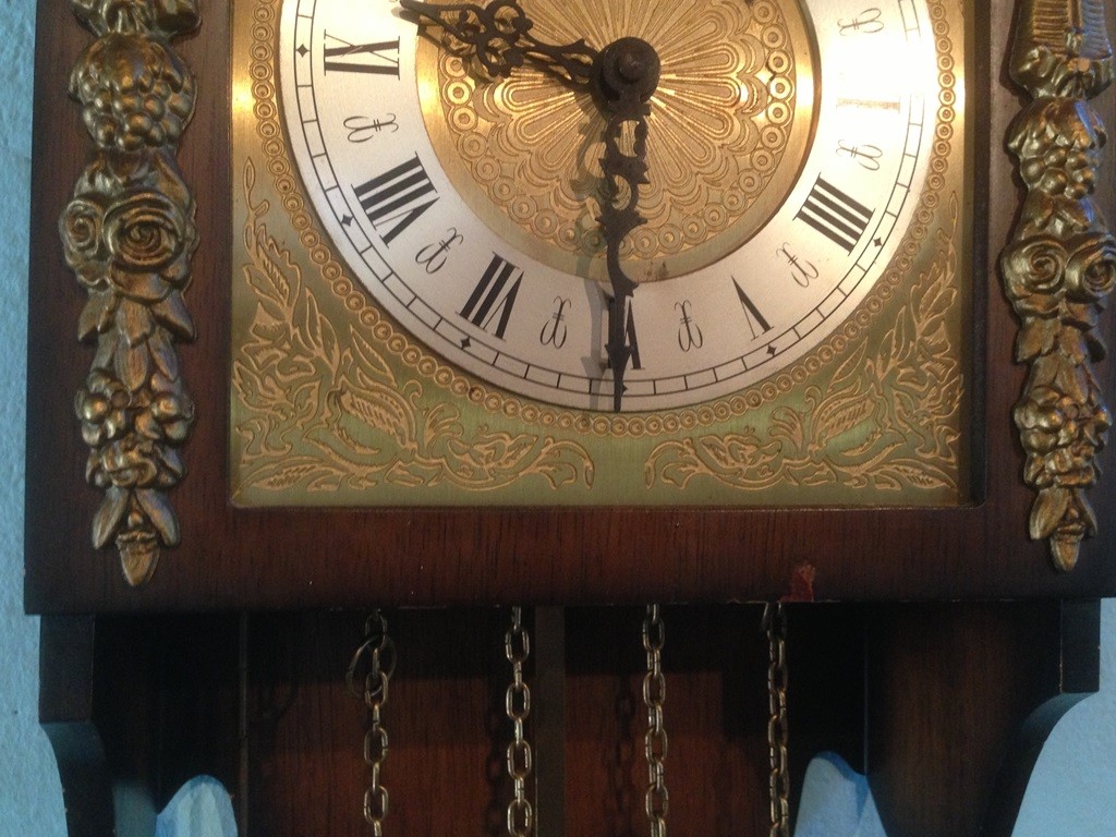 ANTIQUE SCHIPPERTJE WALL CLOCK URGOS TEMPUS FUGIT