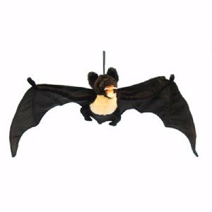 Bat Wing Span