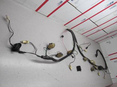 Tail Light Lamp Wiring Harness Firebird T A Trans Am 1979