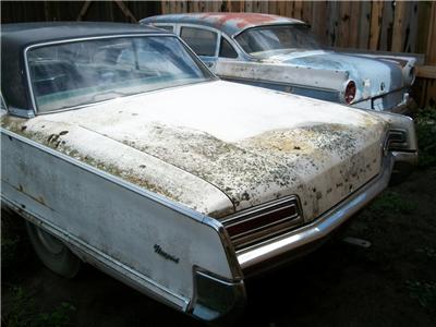 Headliner Interior Tack Strips 2 Dr Htp 1965 66 67 68