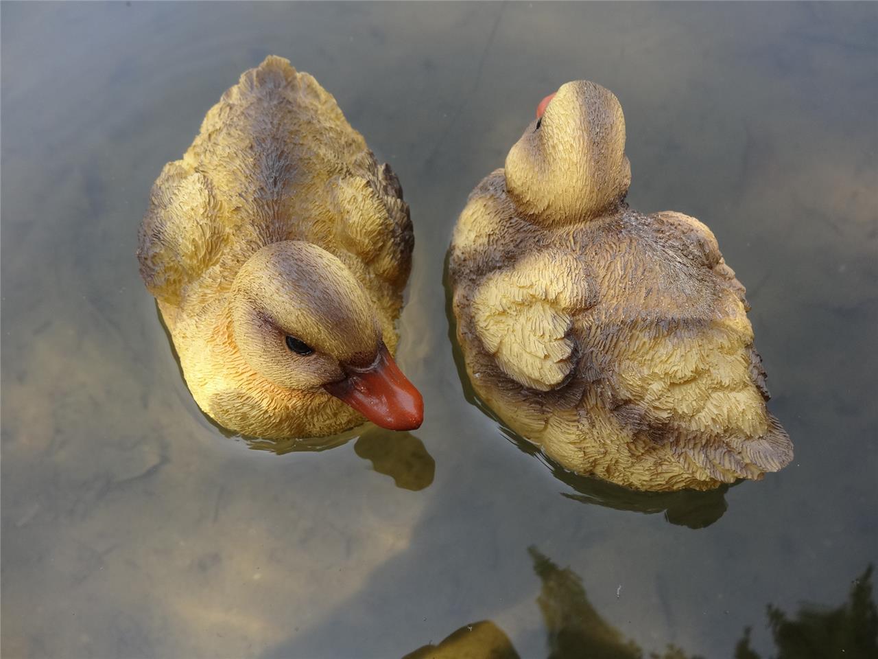 resin ducks garden