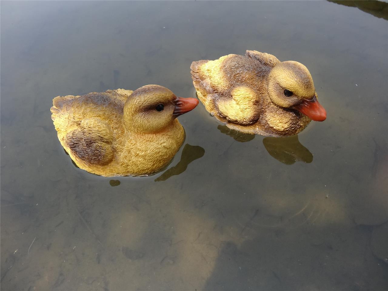 resin ducks garden