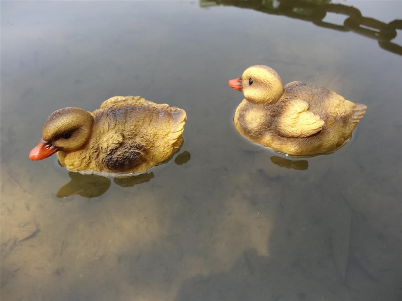resin ducks garden