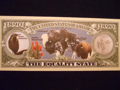 VTG TCC Wyoming State Bird Thimble/Quarter Coin/Bill