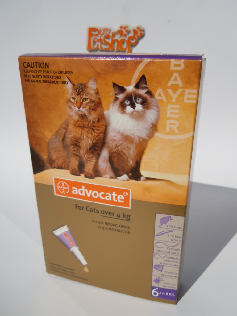 Advocate flea treatment cats Mince His Words Advocate flea treatment cats Mince His Words
