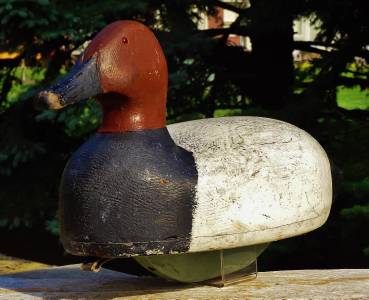 clair decoy st canvasback hollow c1955 butch schramm duck rare wood flats superb