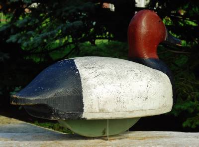 decoy duck wood clair st schramm hollow butch canvasback c1955 rare flats superb