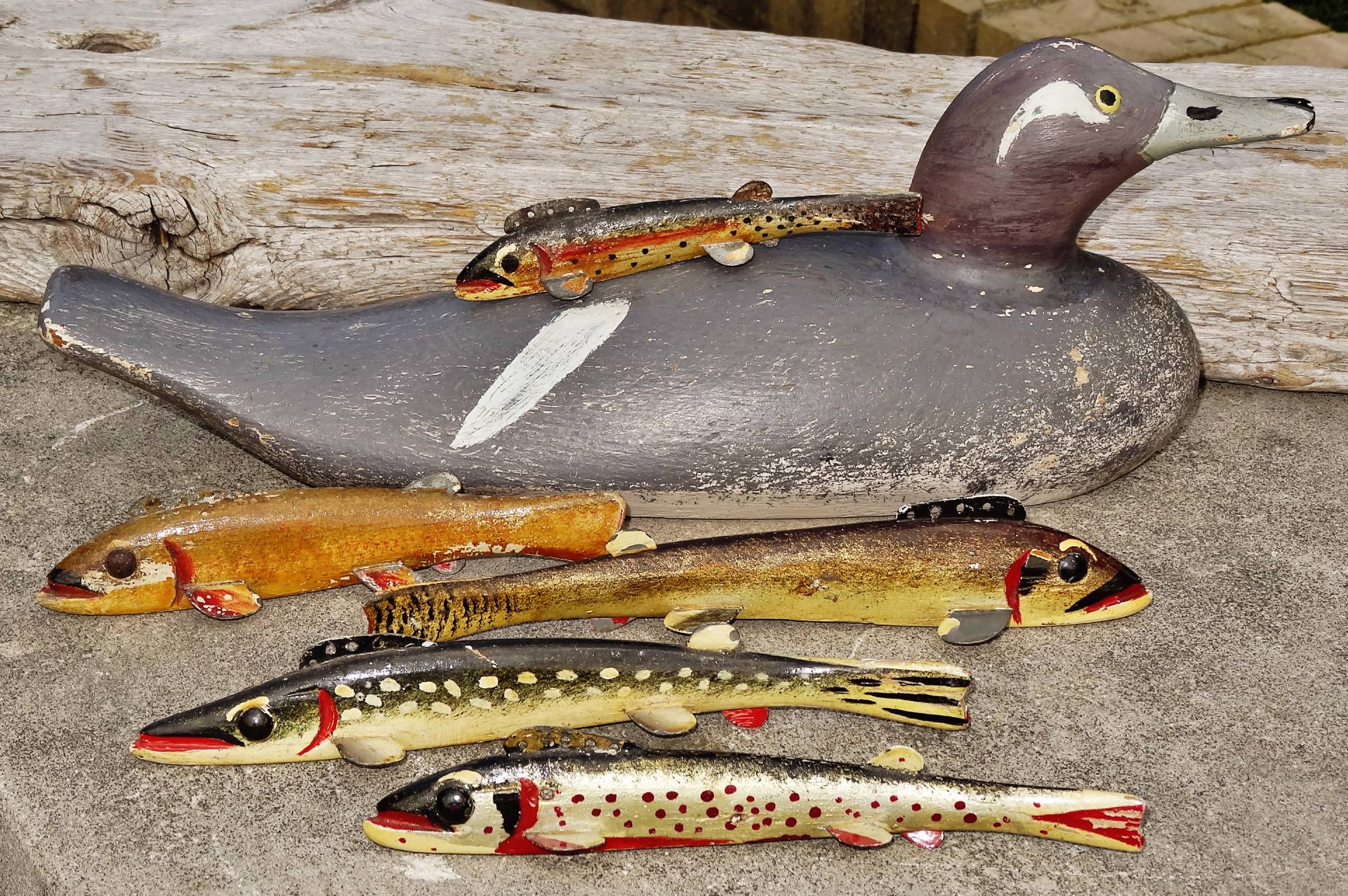 VERY RARE! NEAR MINT c1935 OSCAR PETERSON "HEN BUFFLEHEAD" Wood DUCK