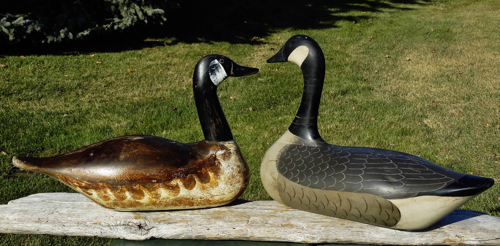 VERY RARE SENTINEL, SUPERB ORIG PAINT c1930 HAVRE DE GRACE Goose WOOD