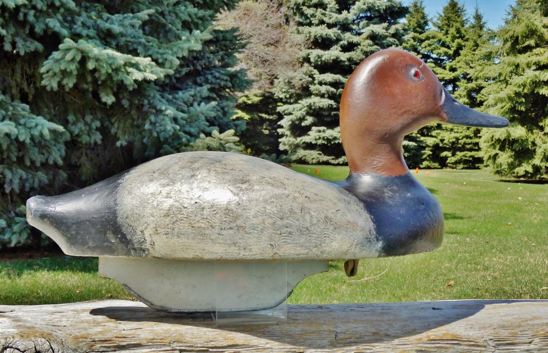  c1945 Algonac School Diver Lake St Clair Flats Wood Duck Decoy | eBay