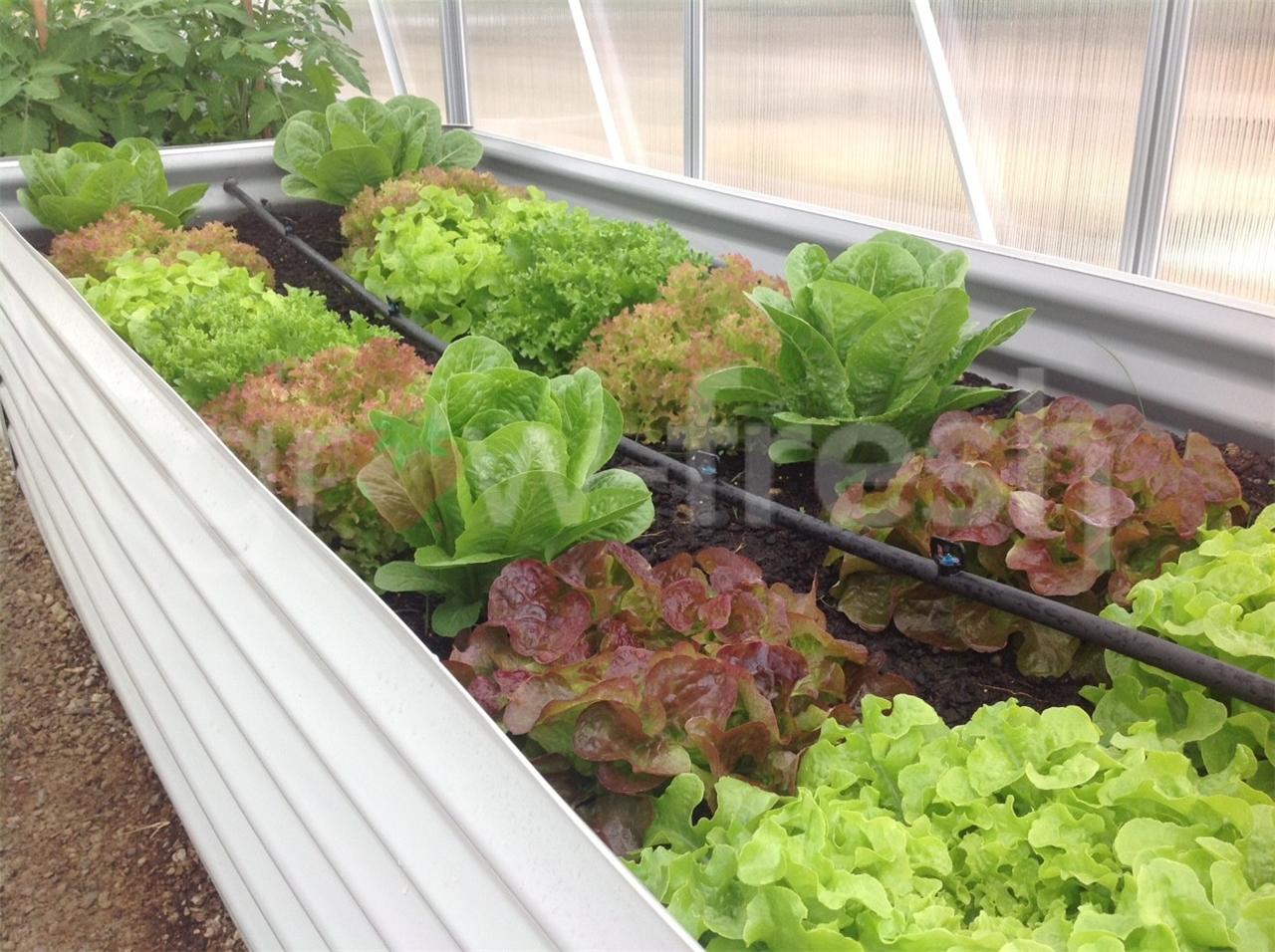 GREENHOUSE COLORBOND DIY RAISED PLANTER BOX GARDEN BED RRP$297