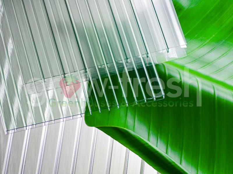 Greenhouse 6mm Polycarbonate Panels Roofing Sheets Twin Wall Diy 2000x850mm Qty5 Ebay 6245