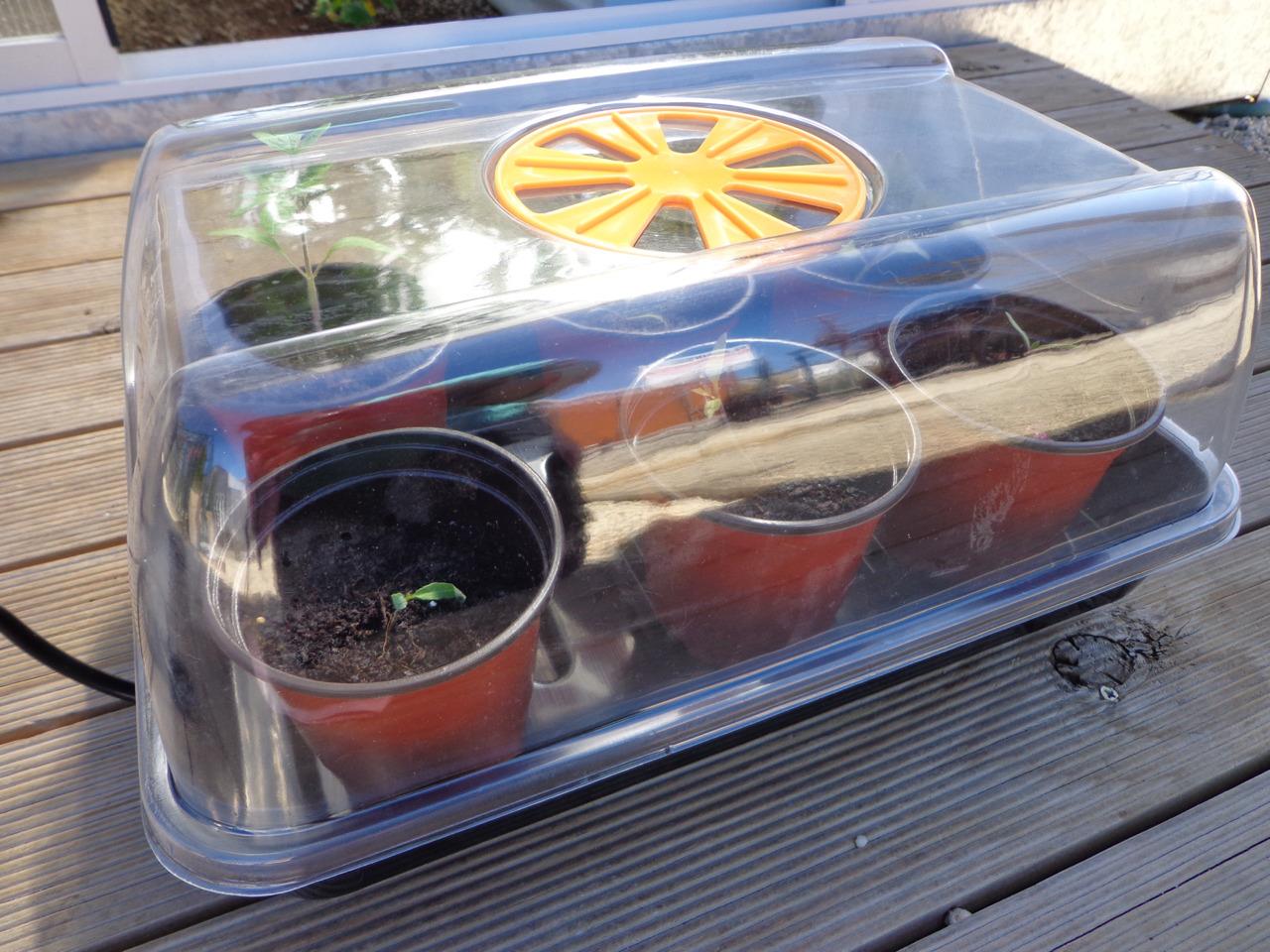 HEATED ELECTRIC PROPAGATOR MINI GREENHOUSE HOTHOUSE SEEDS SEEDLINGS PLANTS