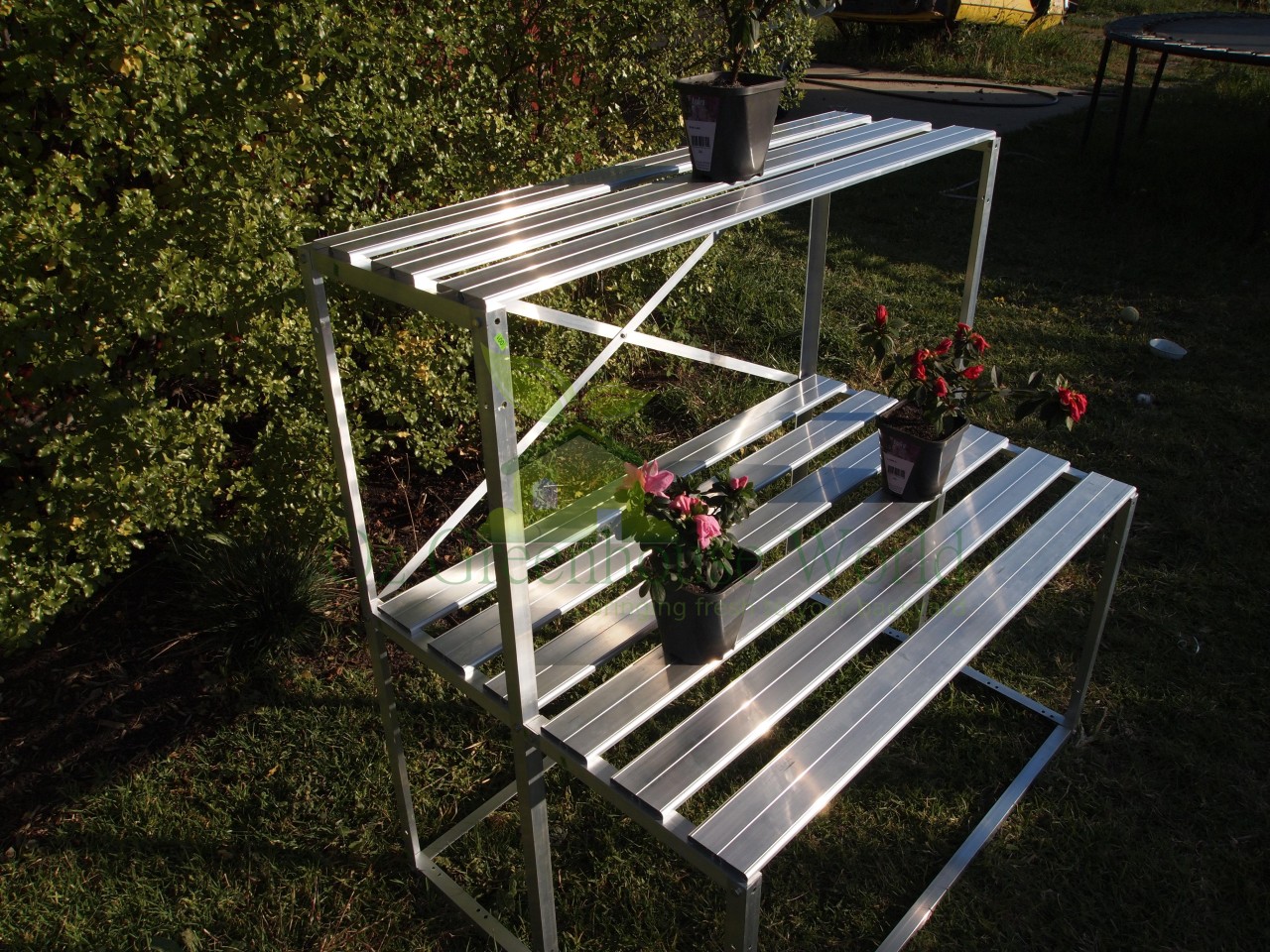 GREENHOUSE GREEN HOUSE HOTHOUSE PLANT STAND STAGING