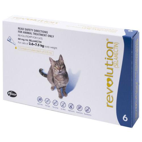 Flea Treatment For Cats Home Remedies Flea Treatment For Cats Home Remedies