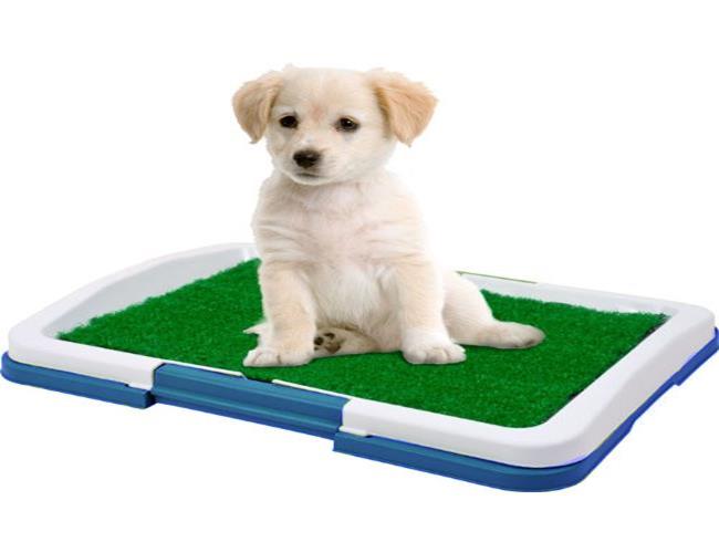 Blue Puppy Pad indoor dog toilet Training Tray 3Tier Grass Potty Pad